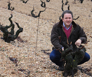 Altitude Matters In Ribera del Duero