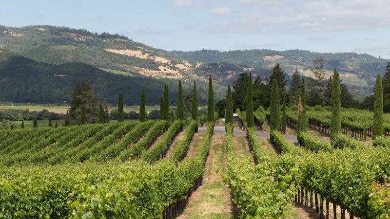 8 Stellar Napa Cabernets and Merlots