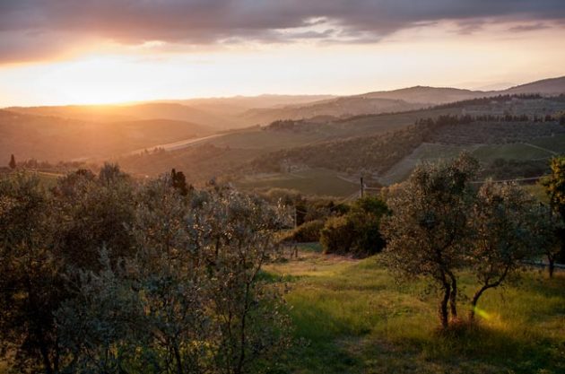 Ten of the best Italian vineyards & terroirs