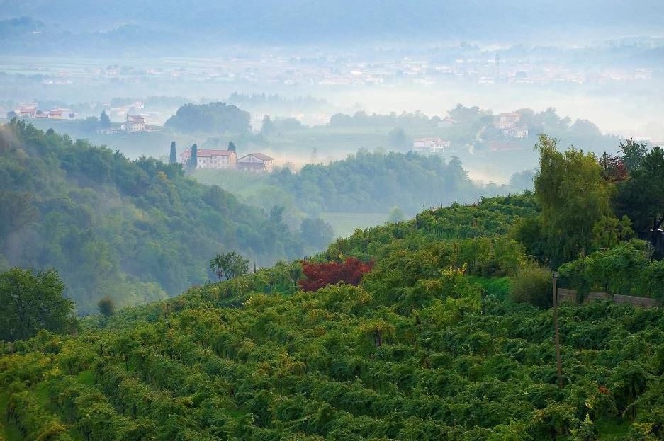 5 Amazing Italian Wine Routes, Great For Fall Getaways