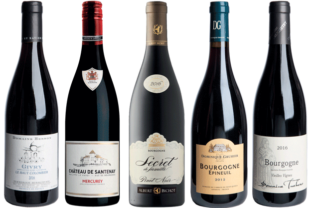 Good value red Burgundy: 32 wines to seek out