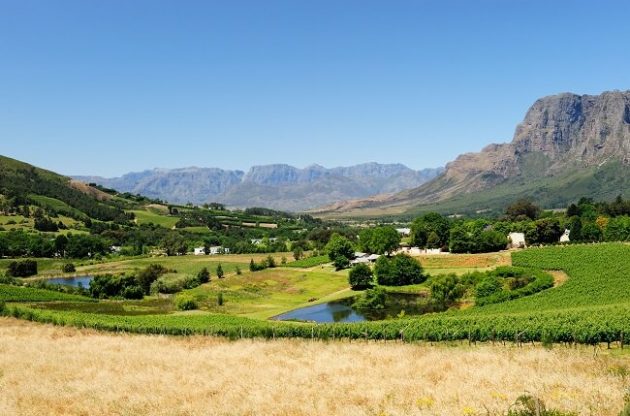 Top Stellenbosch Cabernet Sauvignon