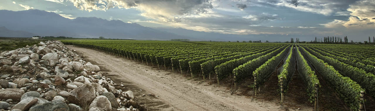 How Argentina’s Uco Valley is Creating First-Class Wine Experiences