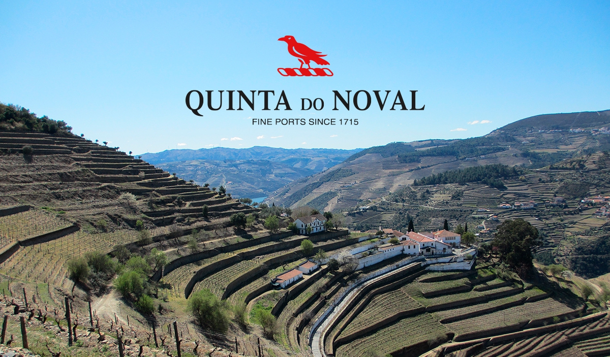 The Rebirth of Quinta do Noval