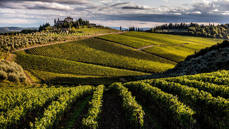 Frescobaldi Sees Strong Potential For New Chianti Classico Label