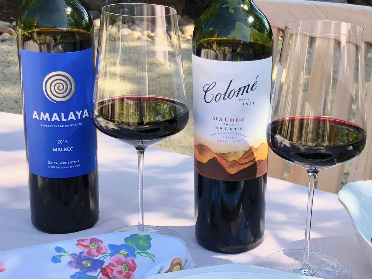 The Best Malbec Under $20 - The Reverse Wine Snob Picks!
