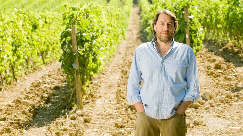 Italian Wine Company Tommasi Invests in Chianti Classico's La Massa