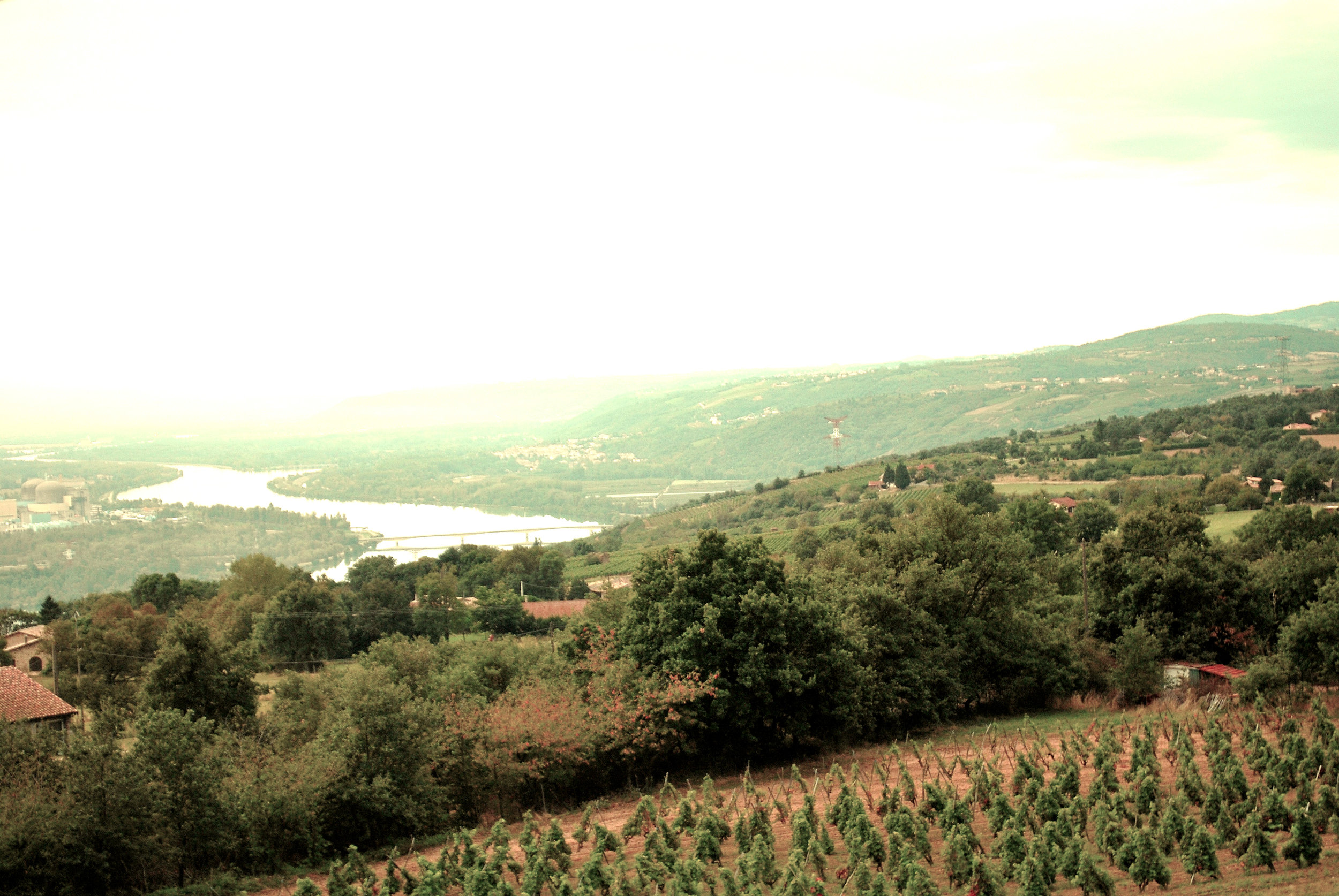 Domaine François Villard and E.Guigal among the best producers of 2017 VTGS