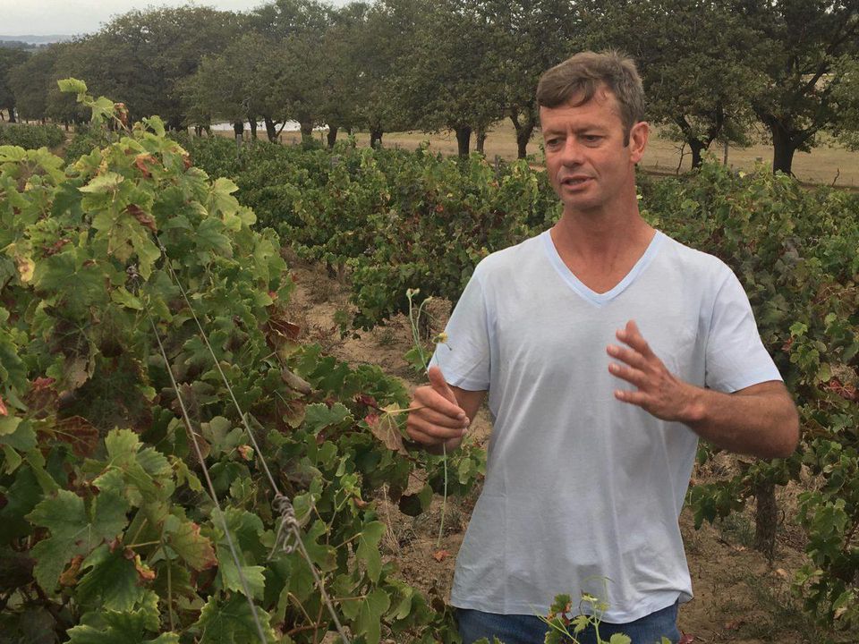 Tales From Reyeneke's South African Winemaker