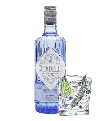 The 30 Best Gins for Every Budget