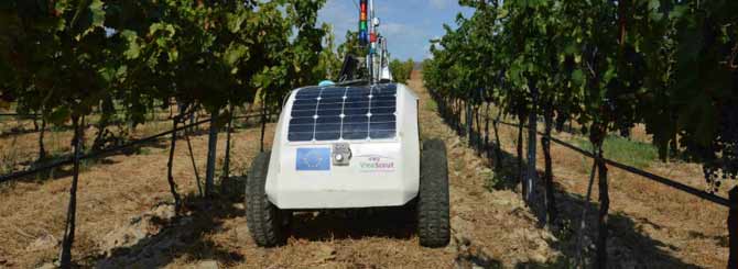 Invasion of the Vineyard Robots