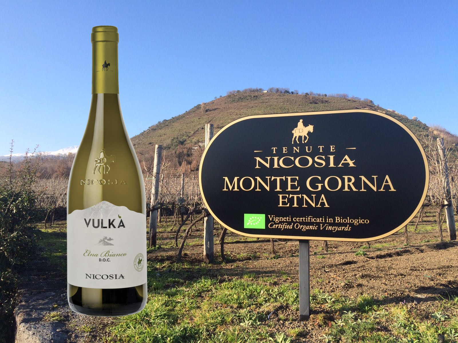 Expert’s Choice: Sicily’s native whites