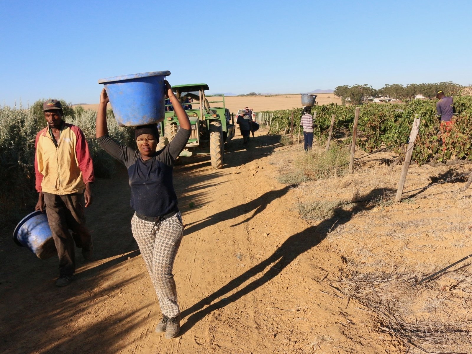 Why Some Wineries Are Becoming 'Certified B Corp' — And What That Means