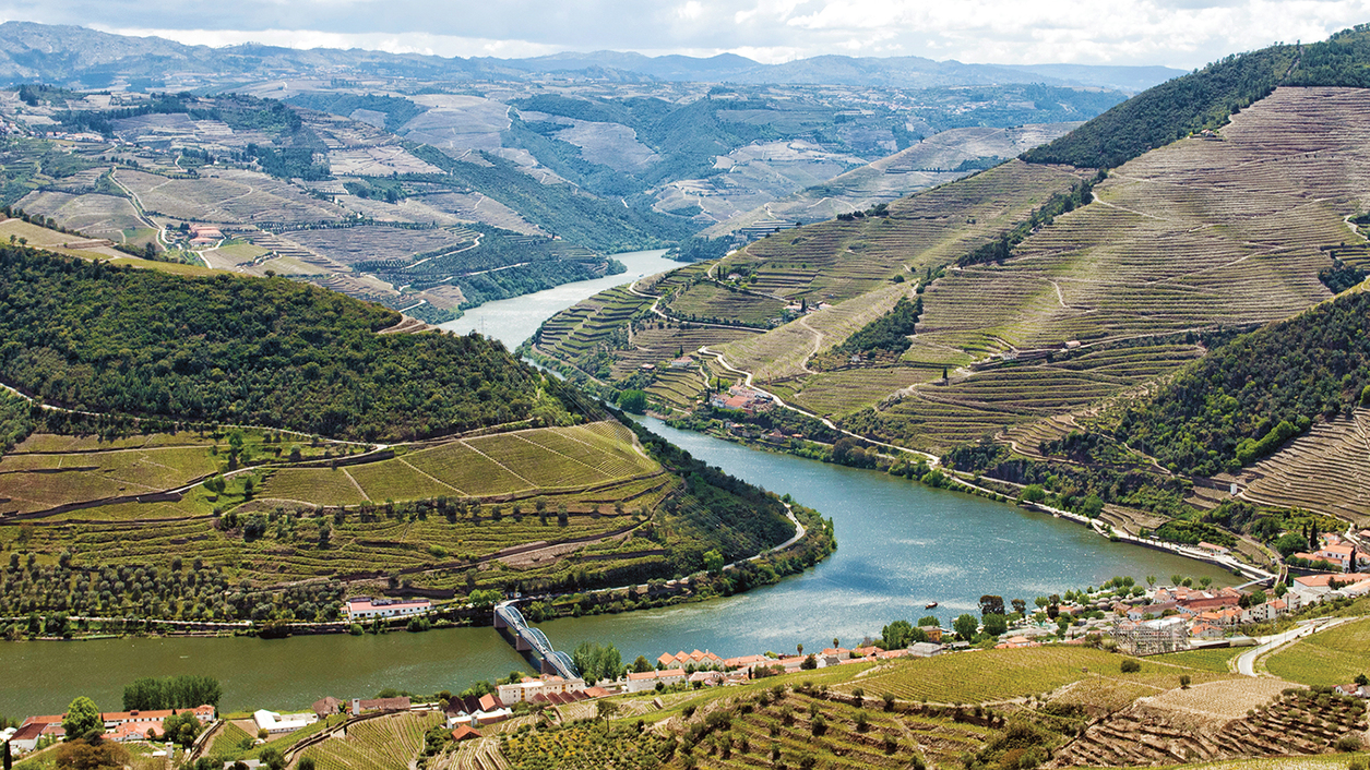 Field Blend Fever The old vines of Portugal's Douro Valley yield exceptional reds and whites