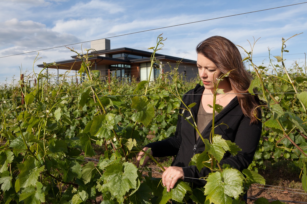 Luisa Ponzi: Tossing Aside Fear In Order To Collaborate With Wine