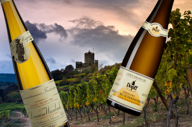 Alsace: Top Riesling terroirs