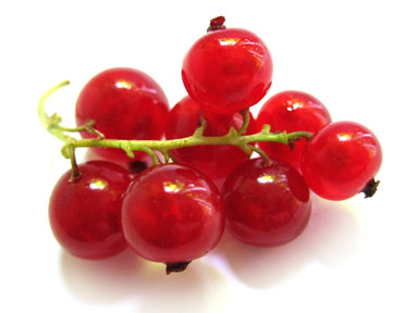 Red Currant