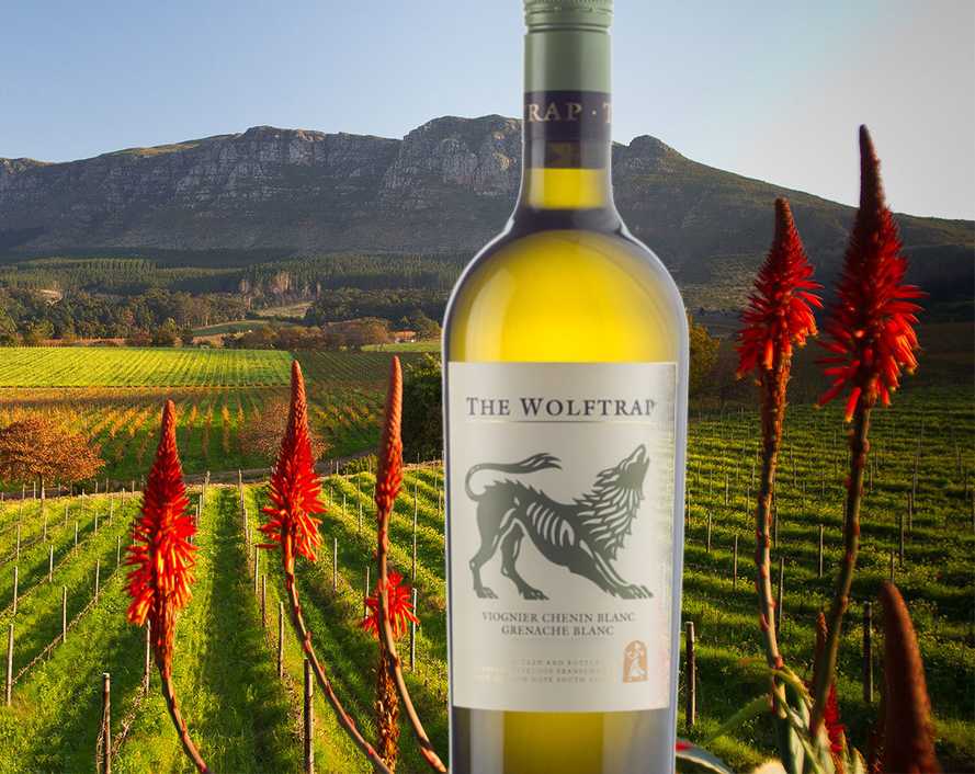 7 South African Wines to Grab Now at Under $20