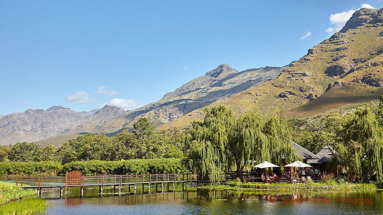 Five Wineries You Should Not Miss In South Africa