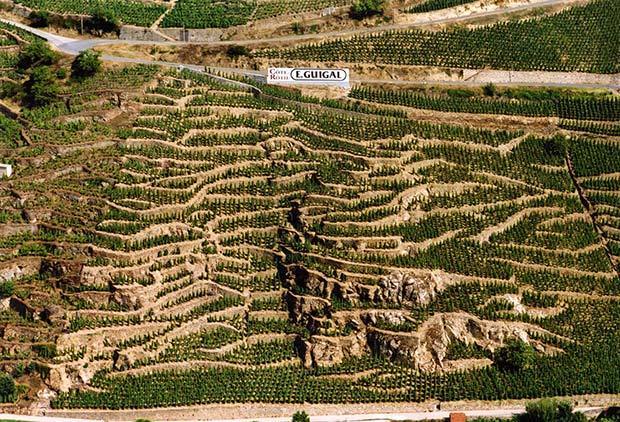 The Artisanal Cooperage of the Domaine