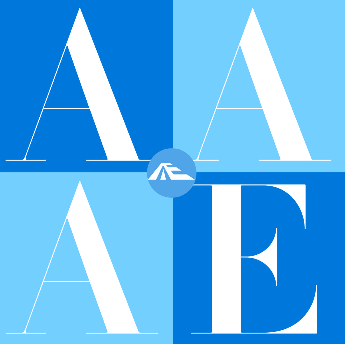 AAAE_Logo.jpg