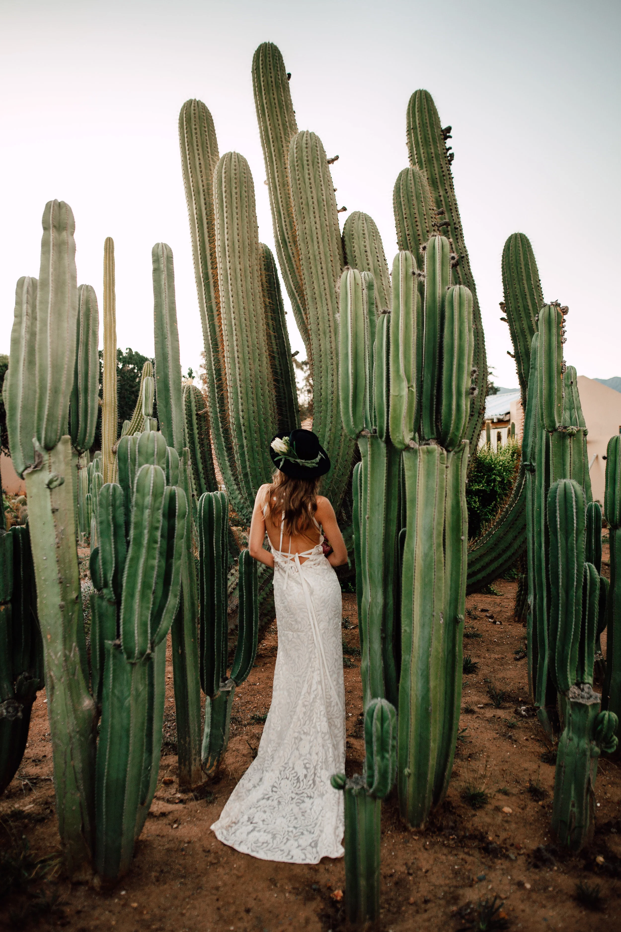 Cape-Town-Pia-Anna-Christian-Wedding-Photography-South-Africa-SC-81.jpg