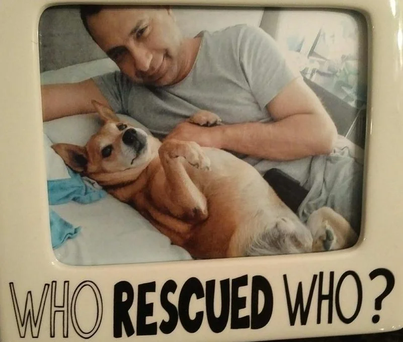 The Companion - RIP Jack