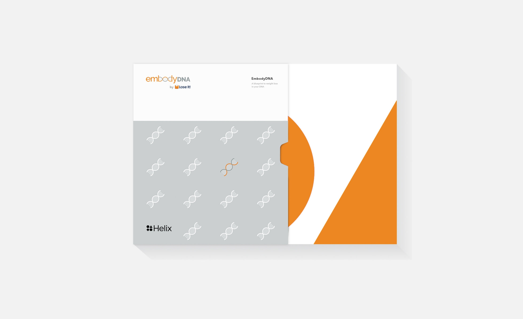 Artwork Options_0001_Opt B.jpg