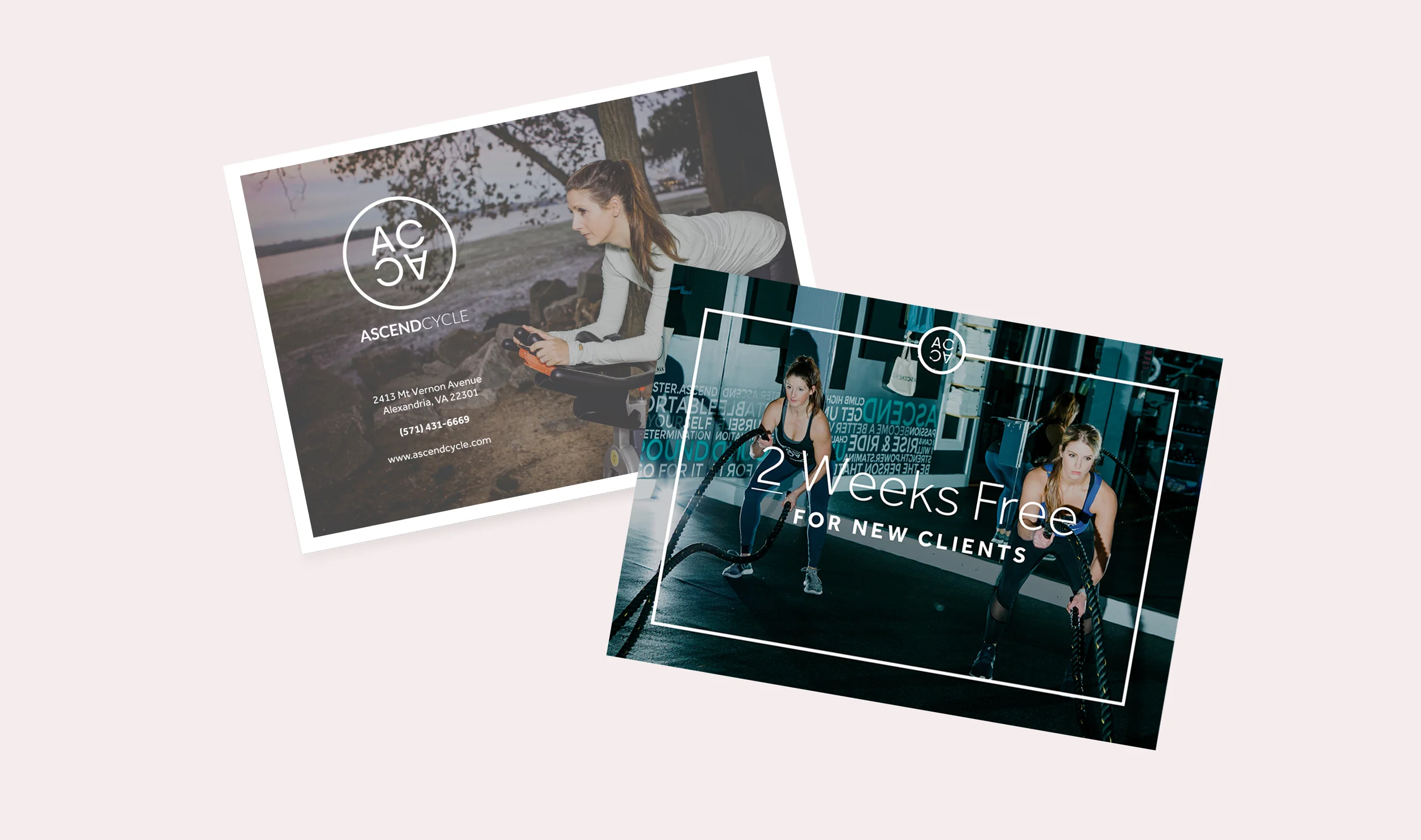 AC promo cards.jpg