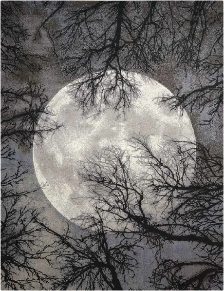 twili_twi17_moon_8x10_099446333759_main.jpg