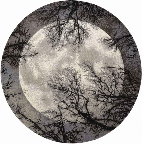 twili_twi17_moon_8xrd_099446358196_main.jpg