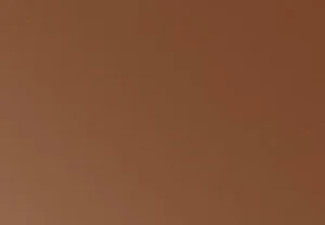 Nuevo-Living-Copper.jpg