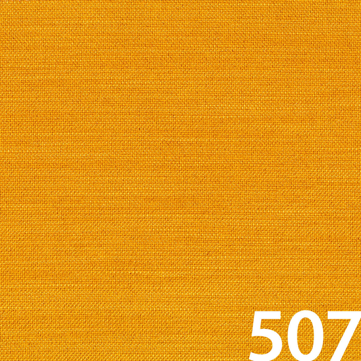 507#_ELEGANCE_BURNED_CURRY.jpg