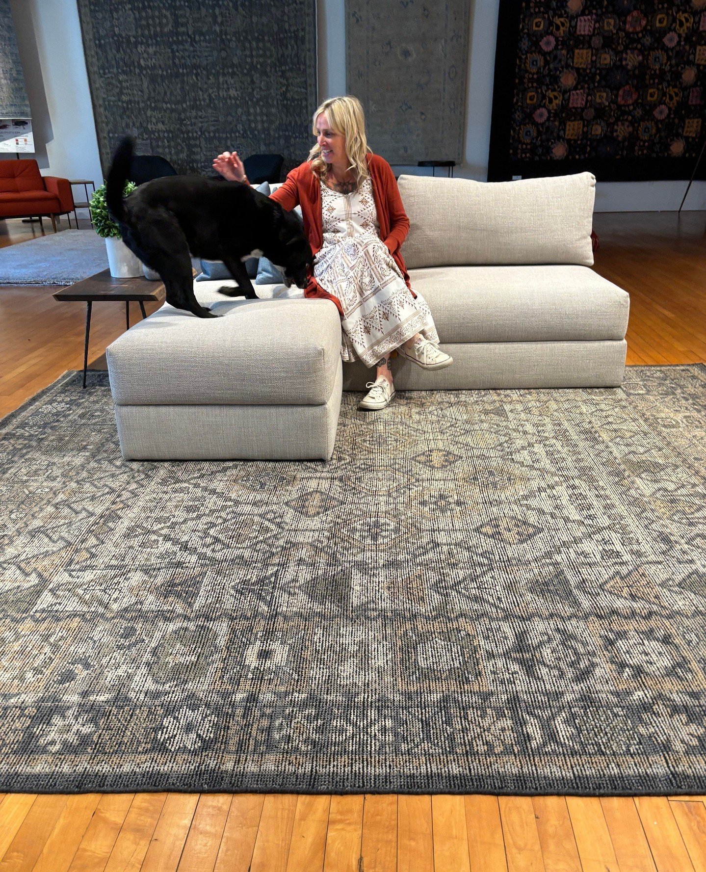 Surprise visit from @samanthablazer5 and Otis this weekend. ❤️ Otis agreed to sit for photos with our Heirloom rug collection. Next time we will be prepared with some treats. Thank you!⁠
⁠
Please visit us in our State College showroom.⁠ ⁠ ⁠
⁠
#shoplo