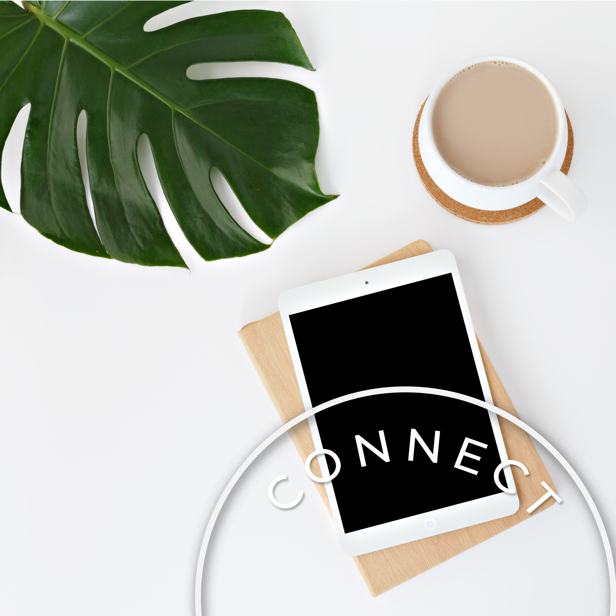 Em Sloan Design Co.
