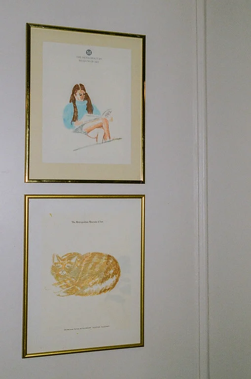 David Schmavid Installation View, 2018 Image courtesy of Lindsay McAleavy https://lindsaymcaleavy.me/