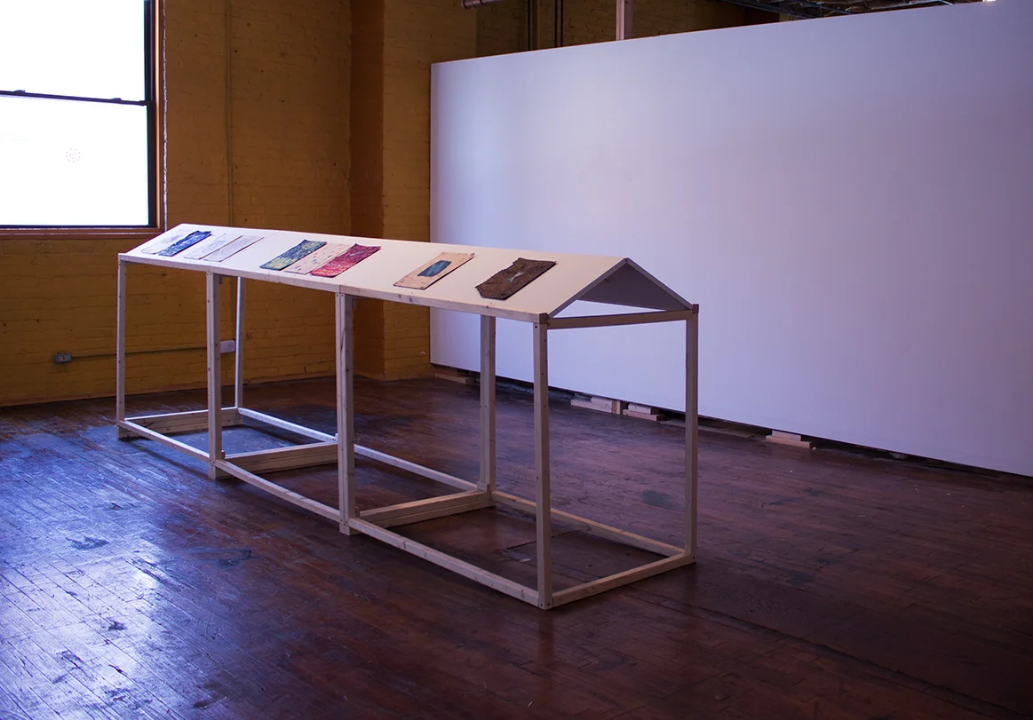 I Want to Be You Installation View, 2014
