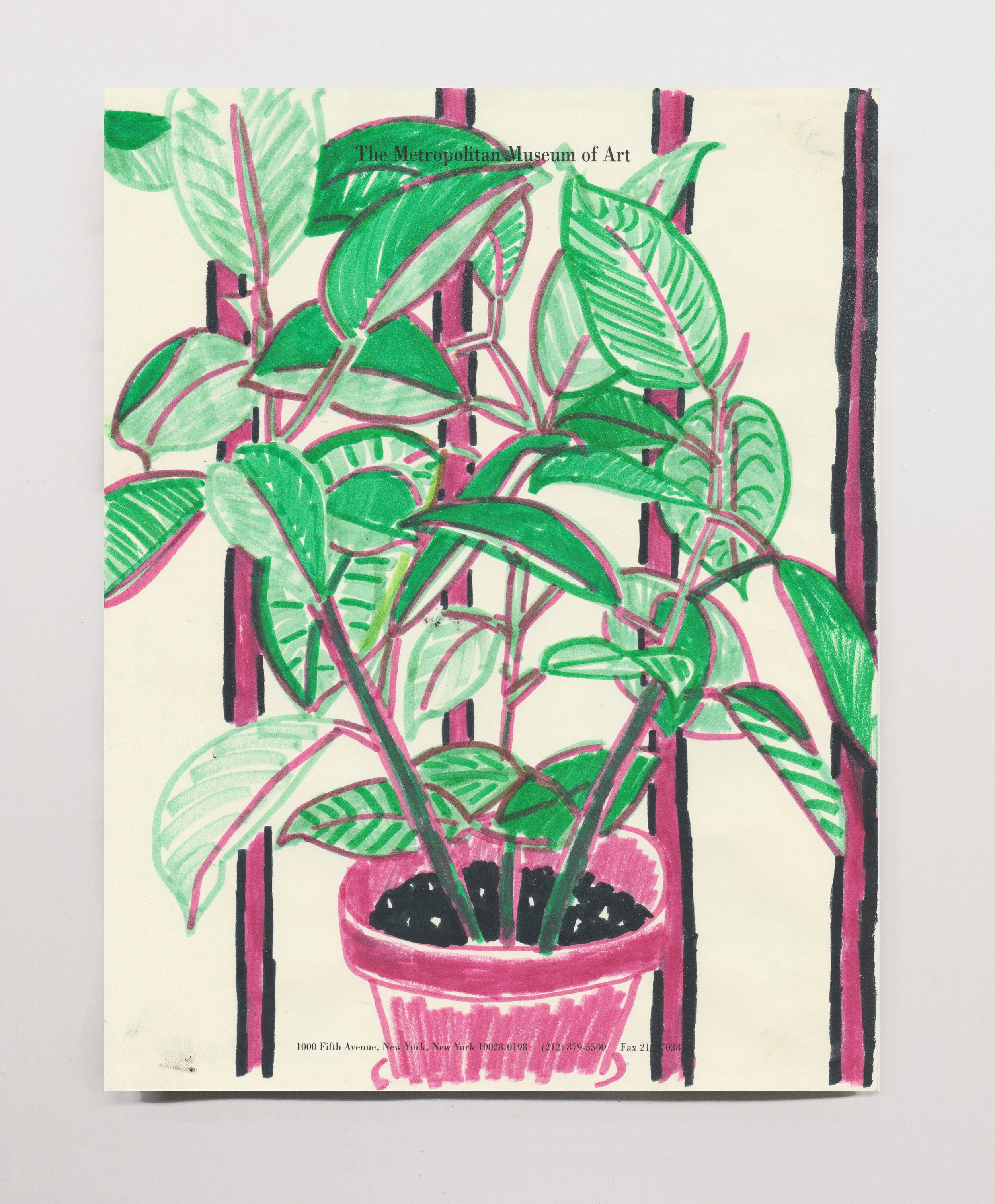   Rubber Plant  , 2017 marker on paper, 11 x 8.5” 