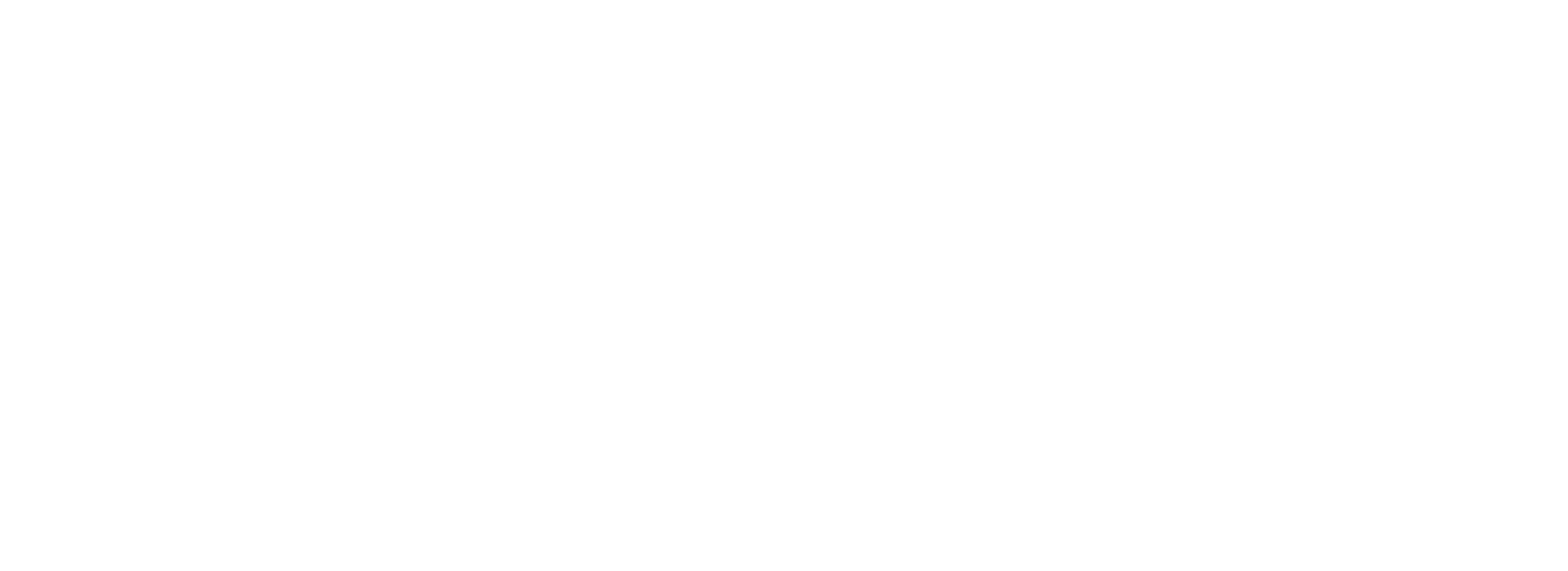 Friedman Transgender Program