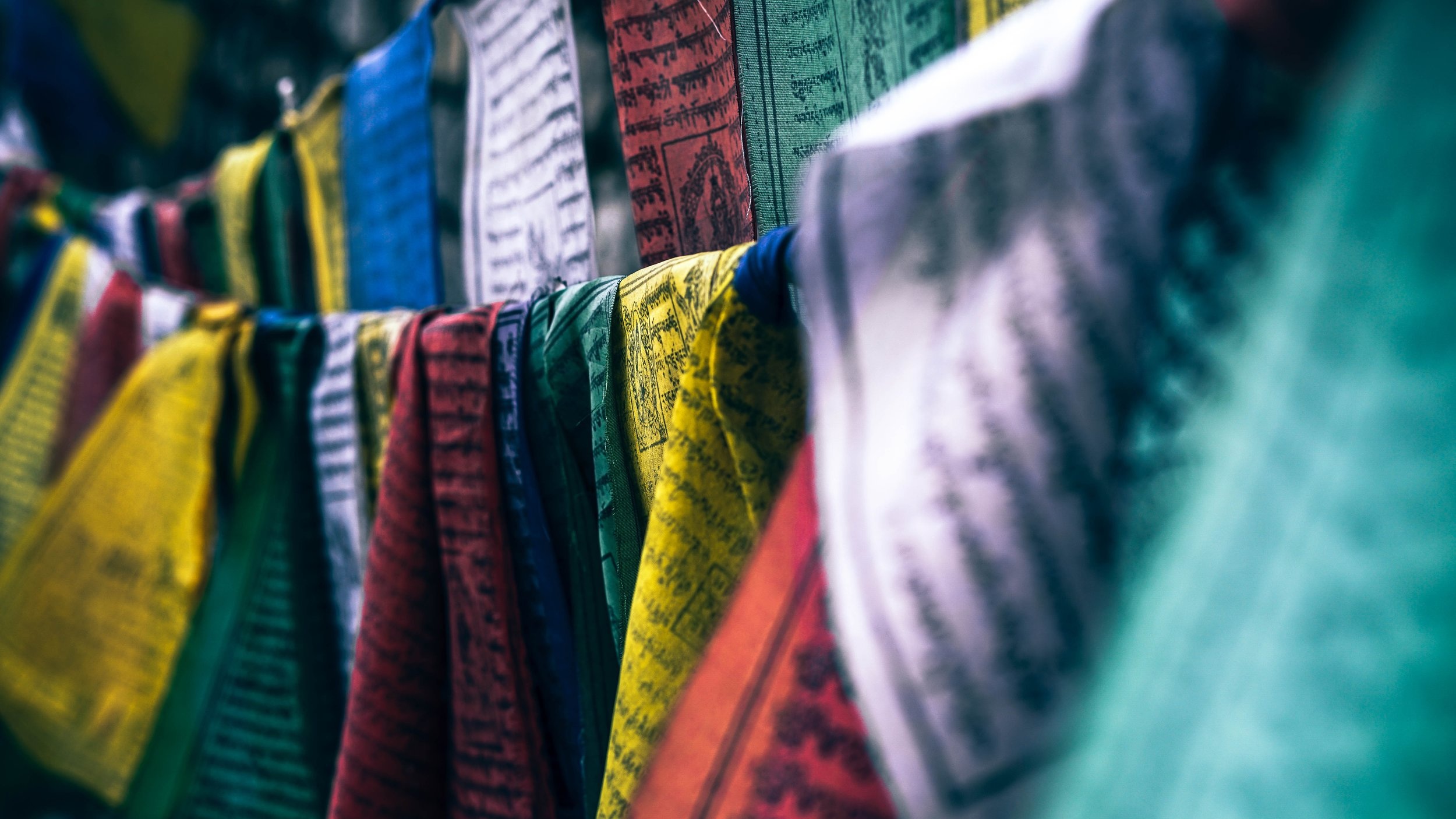 fancycrave-219663-unsplash+%281%29.jpg