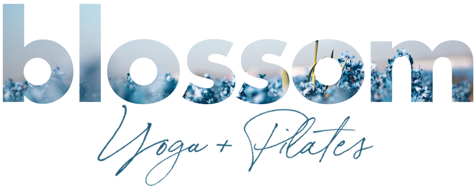 Blossom Yoga + Pilates