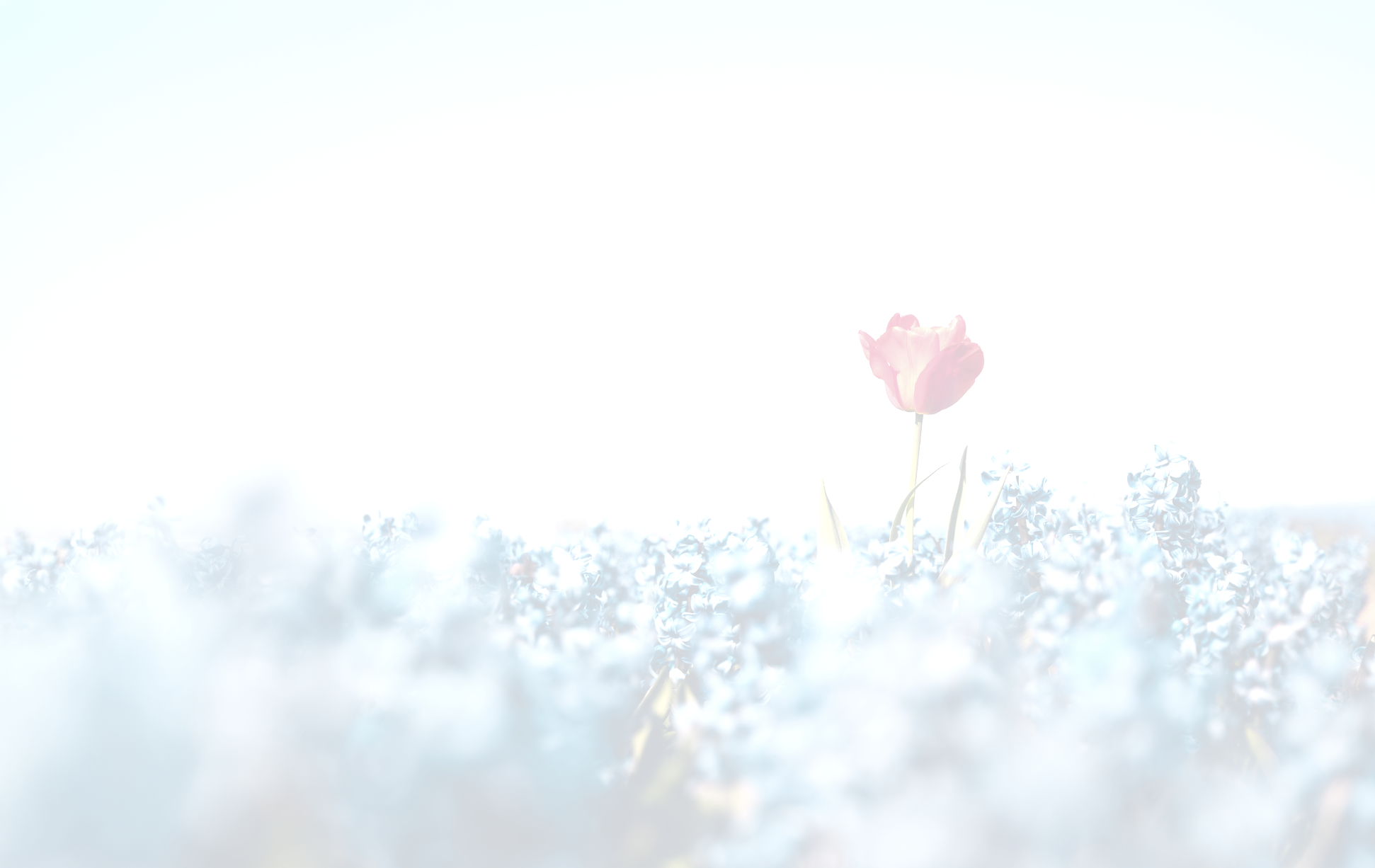 Screenshot 2025-09-11 at 3.14.37 PM.png