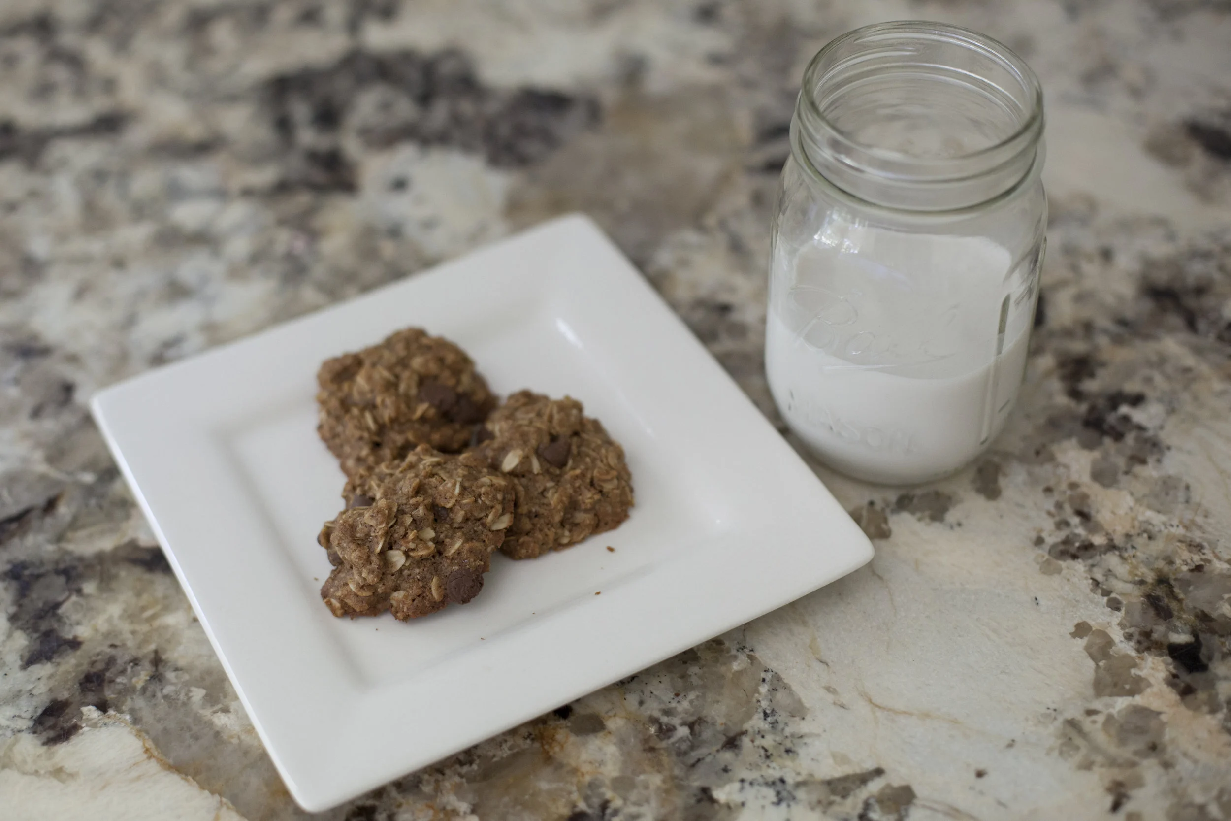 Oatmeal-Cookies-024.jpg