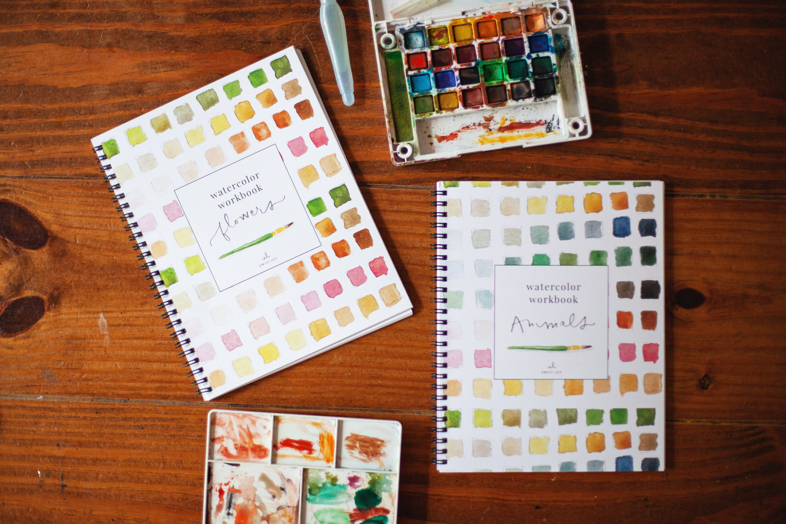 Watercolor with Emily Lex — hannah homegrown