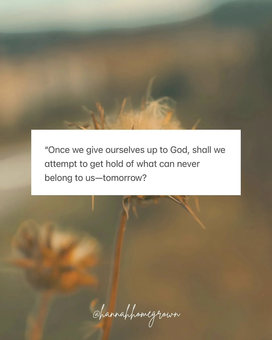 These words written by Elisabeth Elliot stopped me in my tracks today. I&rsquo;ve heard the end of the quote, but not the full thing in the context of her short essay.

Sometimes I can go from 0 to 100 in my &ldquo;what ifs?&rdquo;, as if trying to f