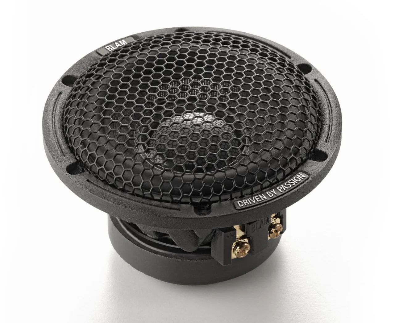 Blam Live LM80 — Santa Rosa Cartunes
