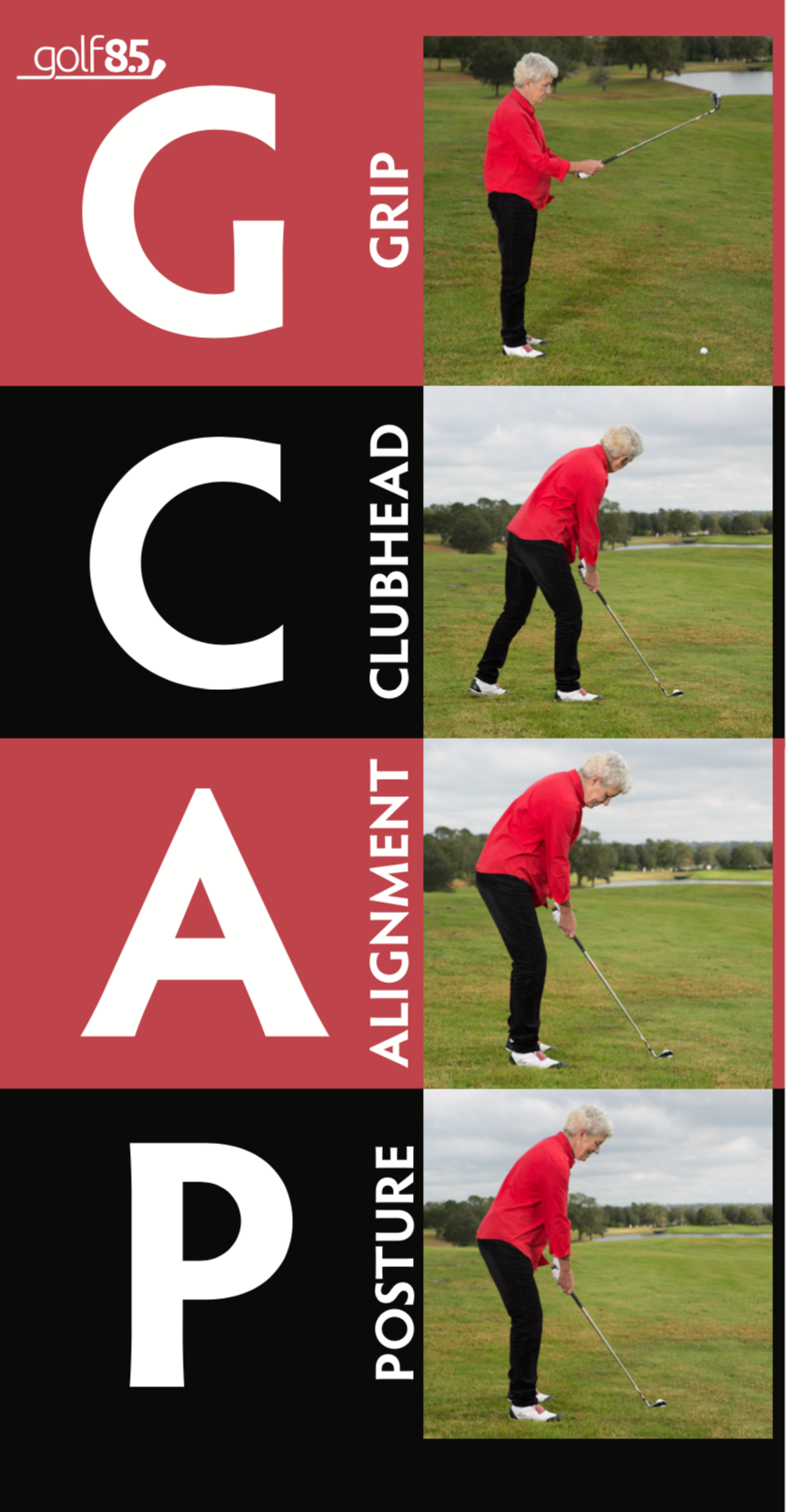 Golf 8.5 Online 4-Week Webinar