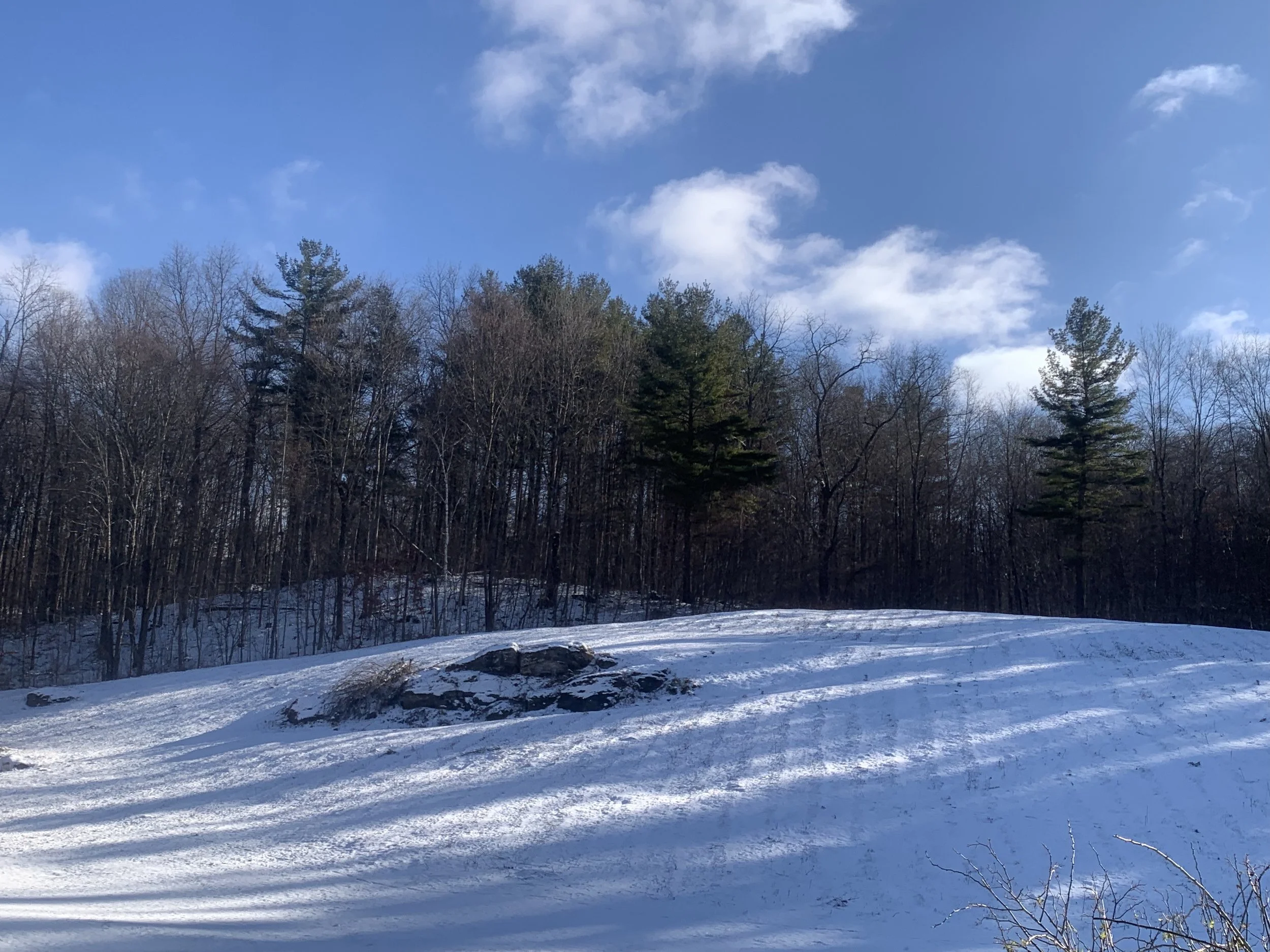 Dermody Hill snow - 2.jpg
