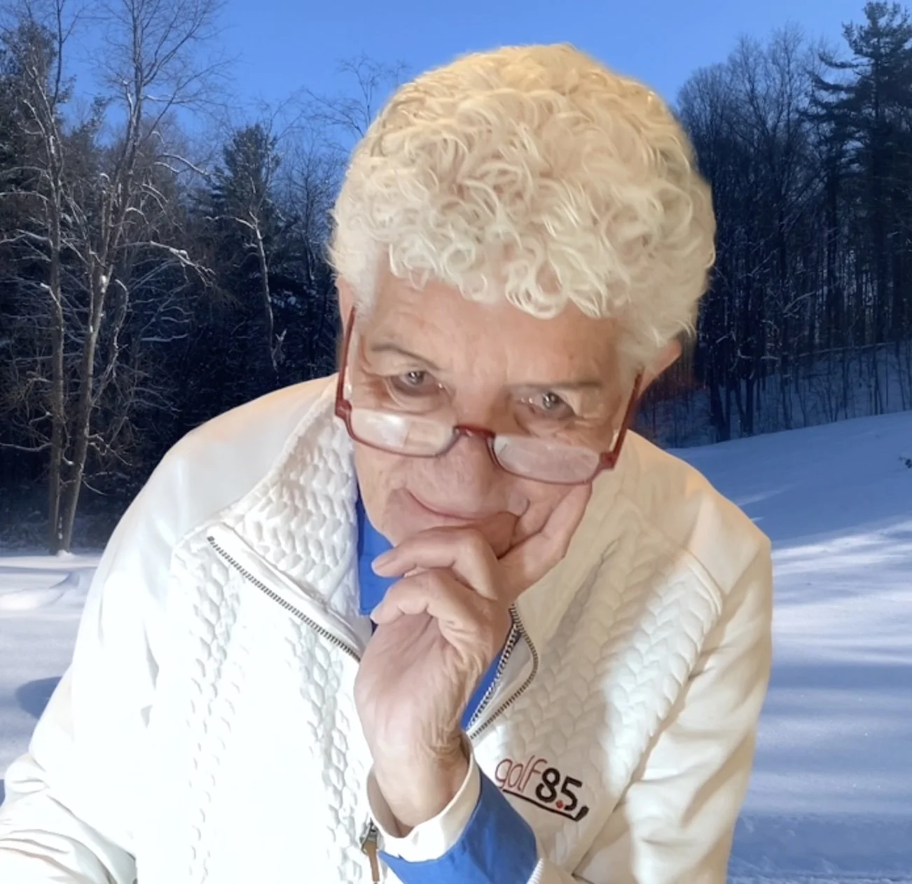 Webinar Online Courses