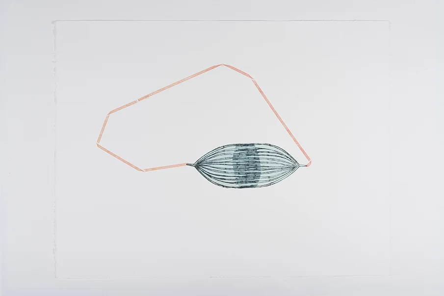 Input